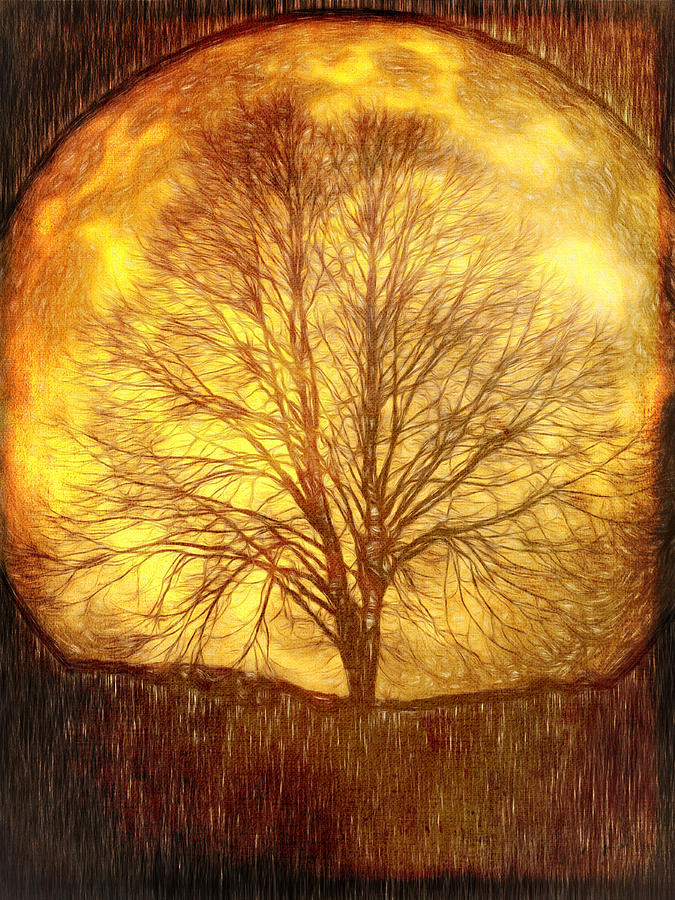 Moon Tree Digital Art by Farrukh Jabeen - Fine Art America