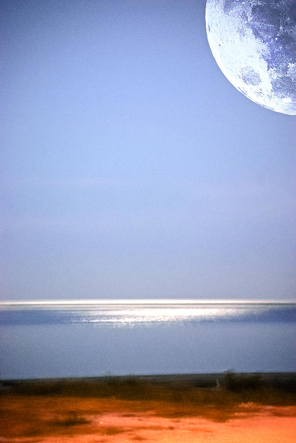 Moon Vision Photograph by Judy Hall-Folde