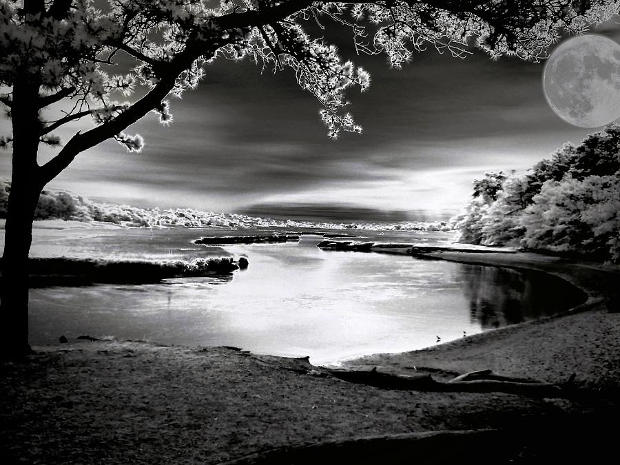 Black And White Photograph - Moona Lagoona by Robert McCubbin