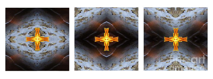 Moonbird Triptych Photograph by Gerald Grow