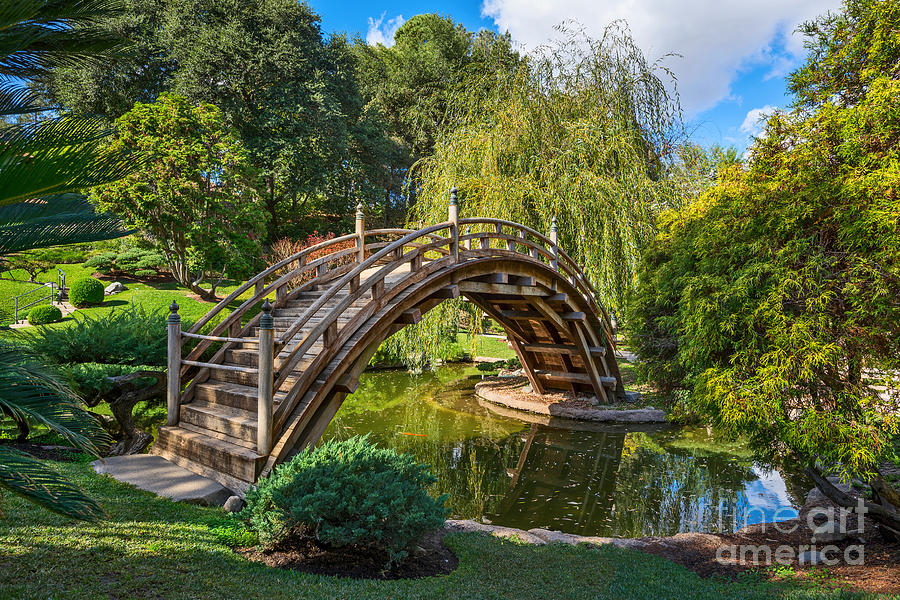 Moonbridge - The Beautifully Renovated Japanese Gardens At The Huntington Library. Photograph