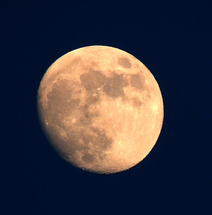Moon Photograph - Moonful by Michele Nelson