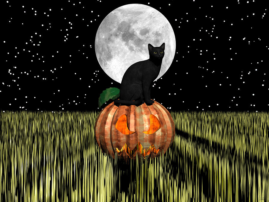 Cat Digital Art - Moonglow by Michele Wilson