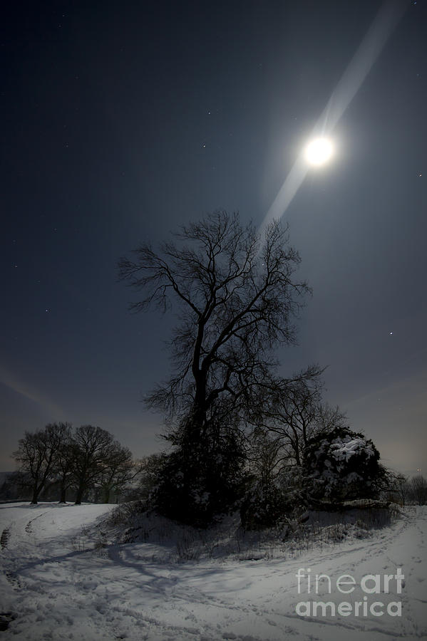 Moonlight and the snow Photograph by Ang El