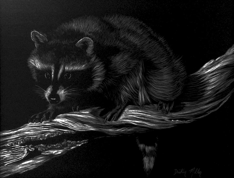 Moonlight Bandit Drawing by Dustin Miller
