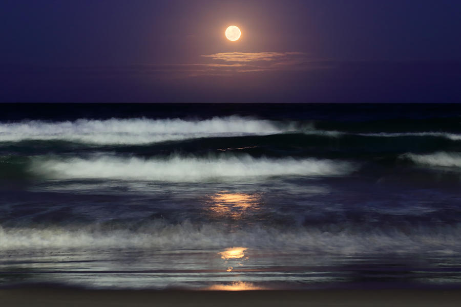 Moonlight Beach Photograph by Ann  Van Breemen