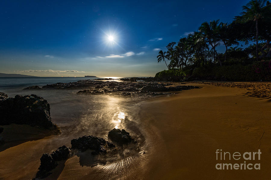 Light Photograph - Moonlight Beach by Jamie Pham