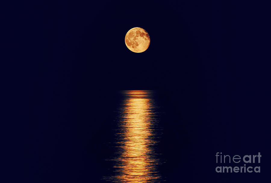 Moonlight Photograph by Charline Xia