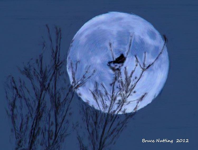 Moonlight Chirp Painting by Bruce Nutting