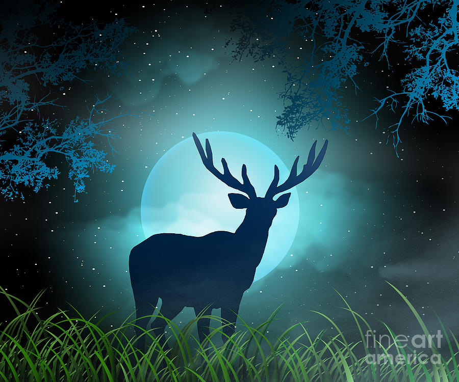 Deer Digital Art - Moonlight Elk by Peter Awax