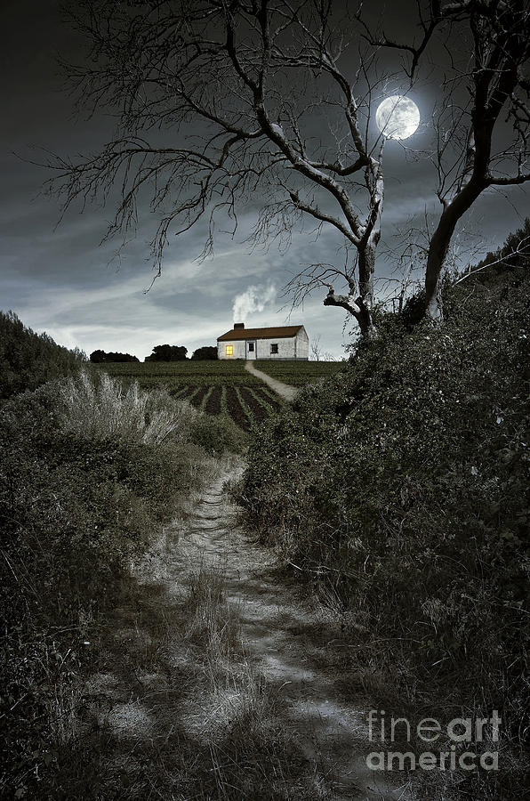 Halloween Photograph - Moonlight Farm by Carlos Caetano