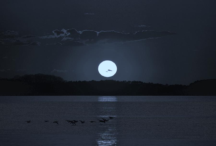 Moonlight Flight Photograph by Billy Beck