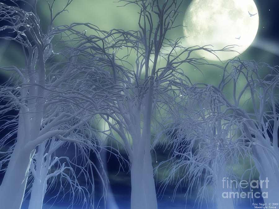 Munich Movie Digital Art - Moonlight Forest by Eric Nagel
