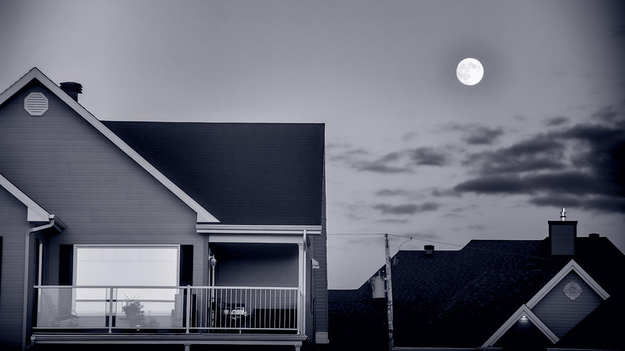 Moonlight in Suburbia Photograph by Robert Knight