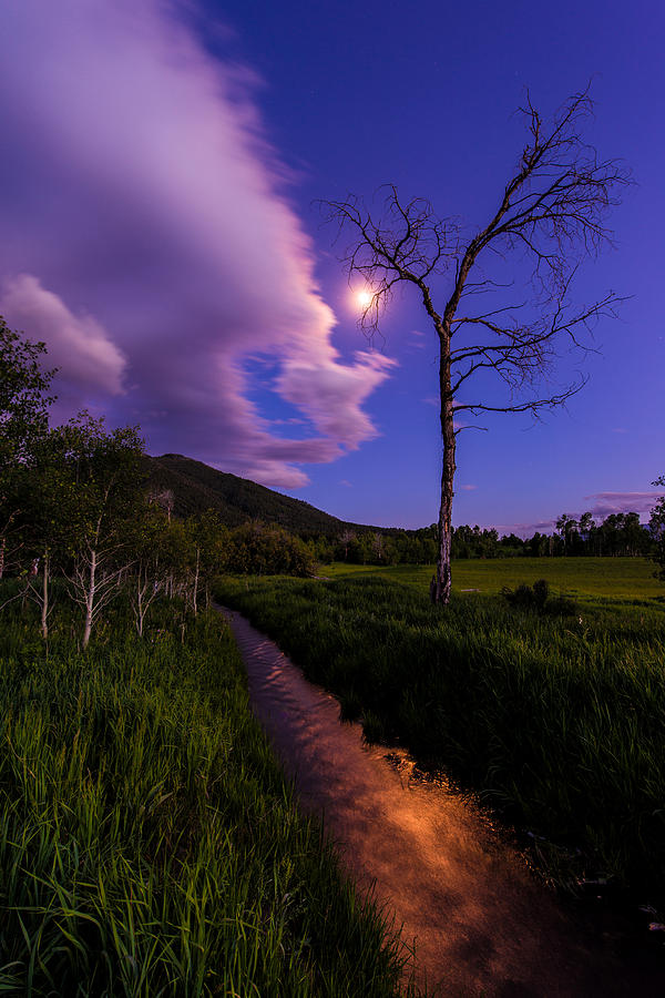 Moonlight Meadow Photograph by Chad Dutson