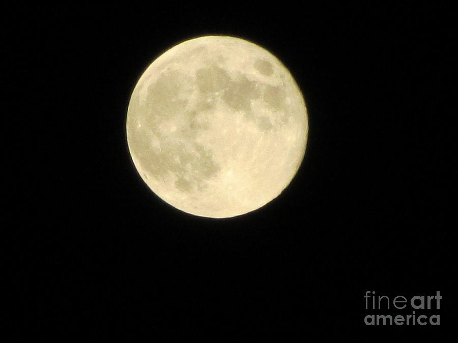Moonlight - Midnight Photograph by Susan Carella