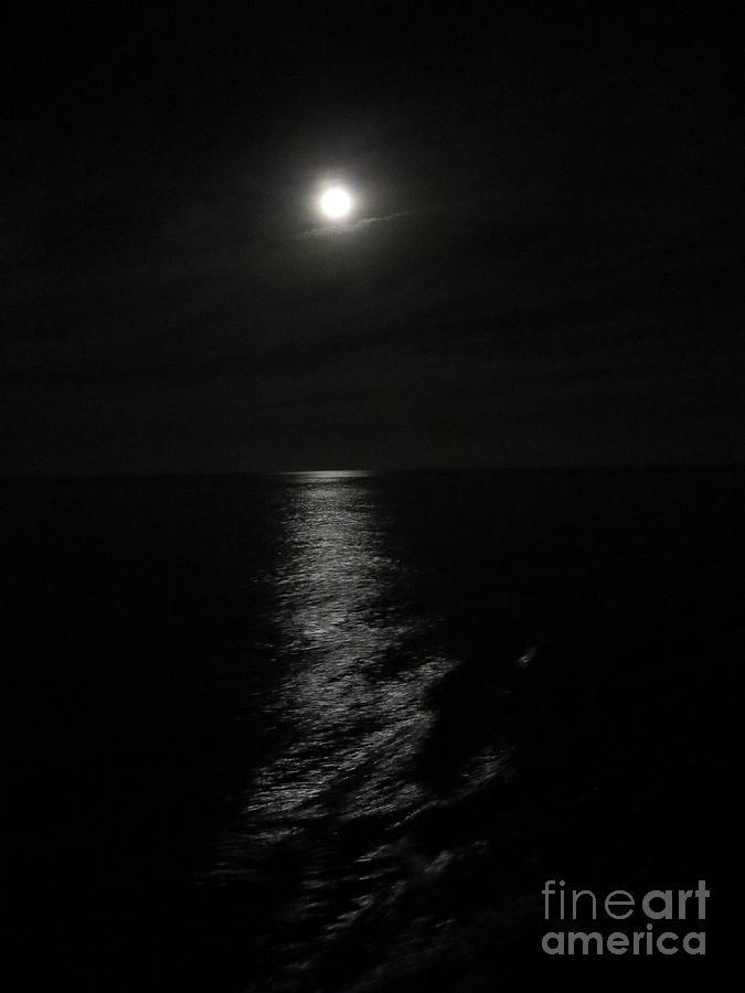 Moonlight On The Caribbean Photograph by Tim Townsend