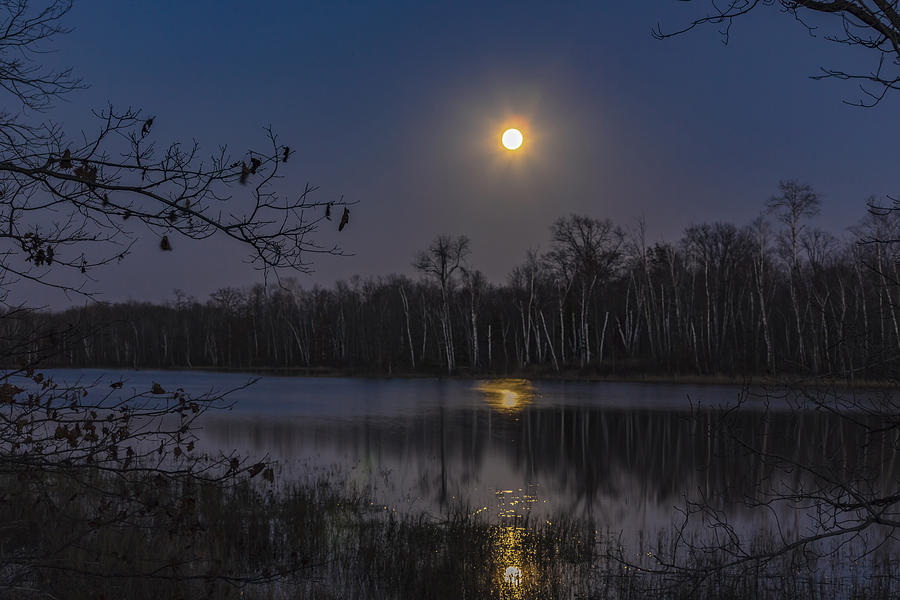 Moonlight Over A Wilderness Lake Photograph by Linda Arndt
