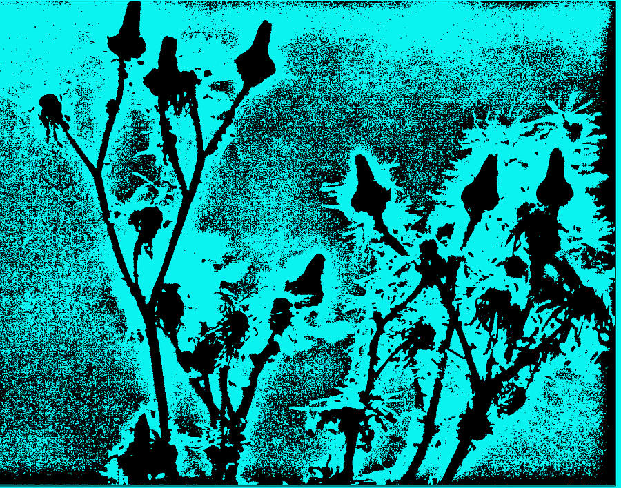 Moonlit Coneflowers Digital Art by R Thomas Brass
