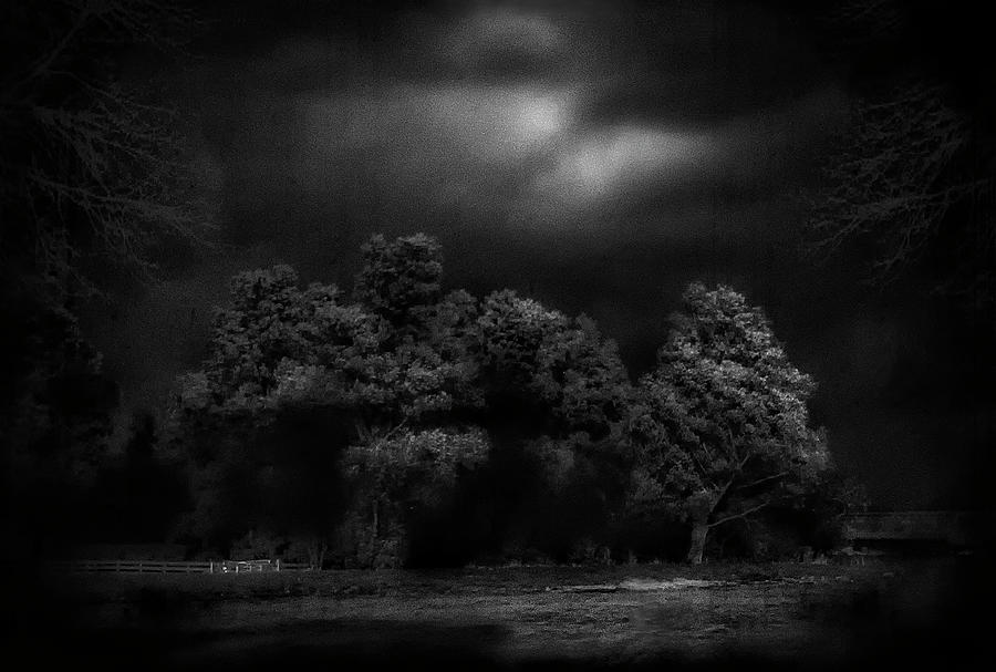 Black And White Photograph - Moonlight Raaverie by Yvette Depaepe