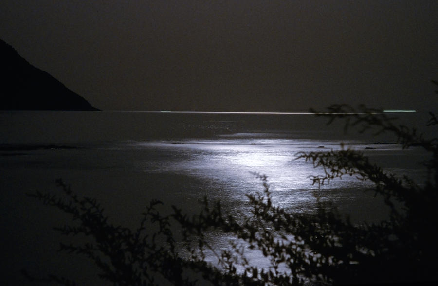 Nature Photograph - Moonlight Reflection by Patrick Kessler
