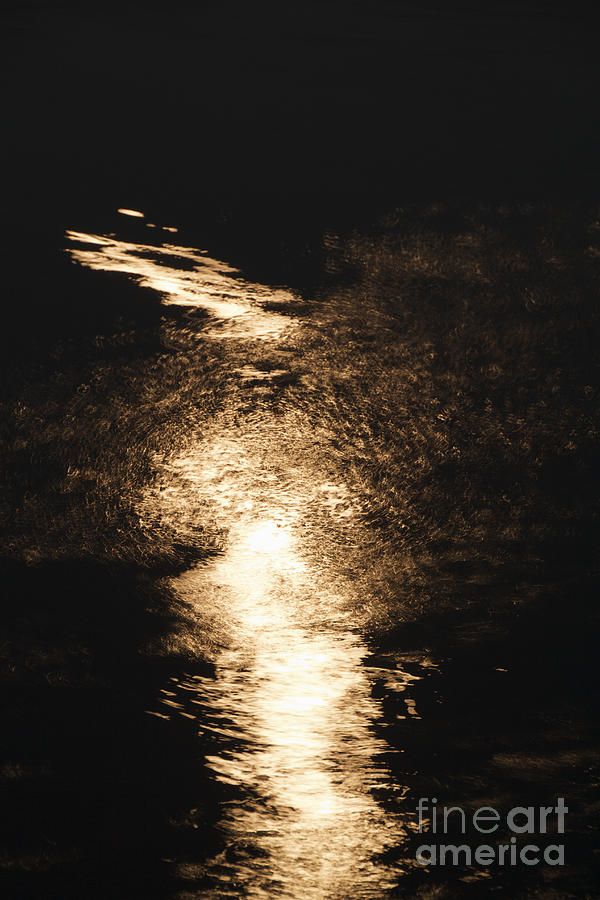 Boat Photograph - Moonlight Reflections by William Norton