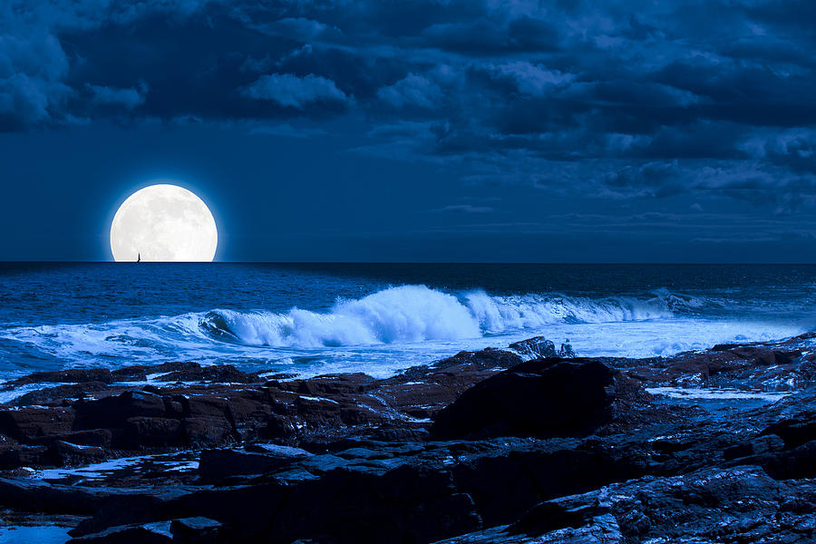 Moonlight Sail Photograph by Fred Larson