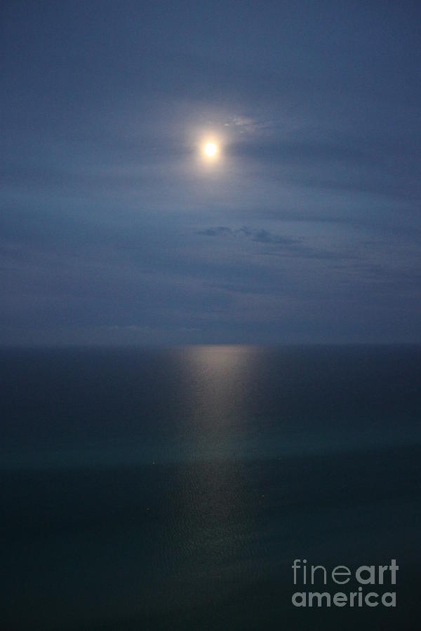 Moonlight serenading the waters of Florida Photograph by Jennifer E Doll