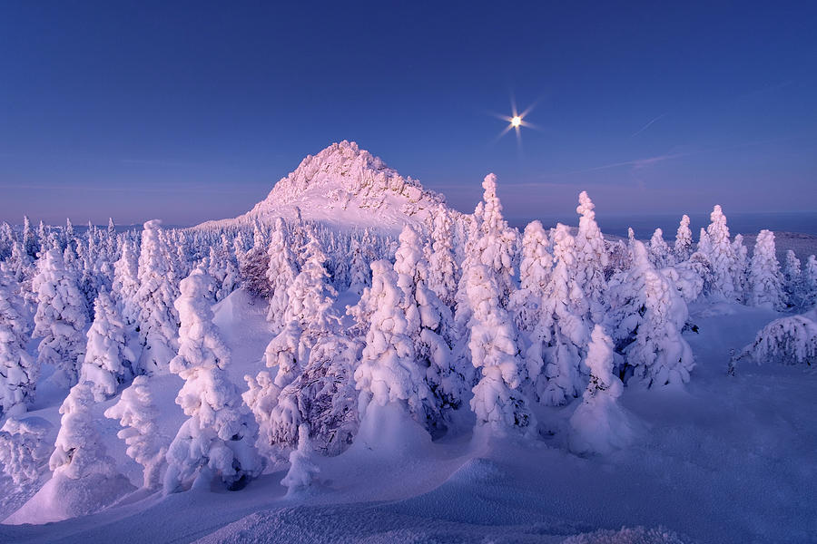 Winter Photograph - Moonlight Sonata by Dmitriy Kochergin Winter Photograph - Moonlight Sonata by Dmitriy Kochergin