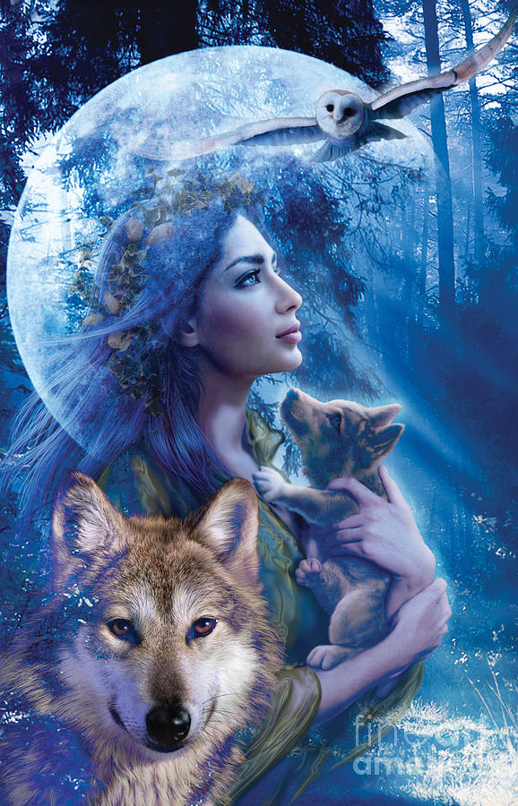 Wolves Digital Art - Moonlit Brethren  by MGL Meiklejohn Graphics Licensing
