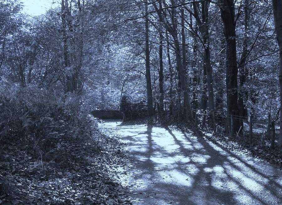 Moonlit Country Lane Photograph by Nigel Radcliffe
