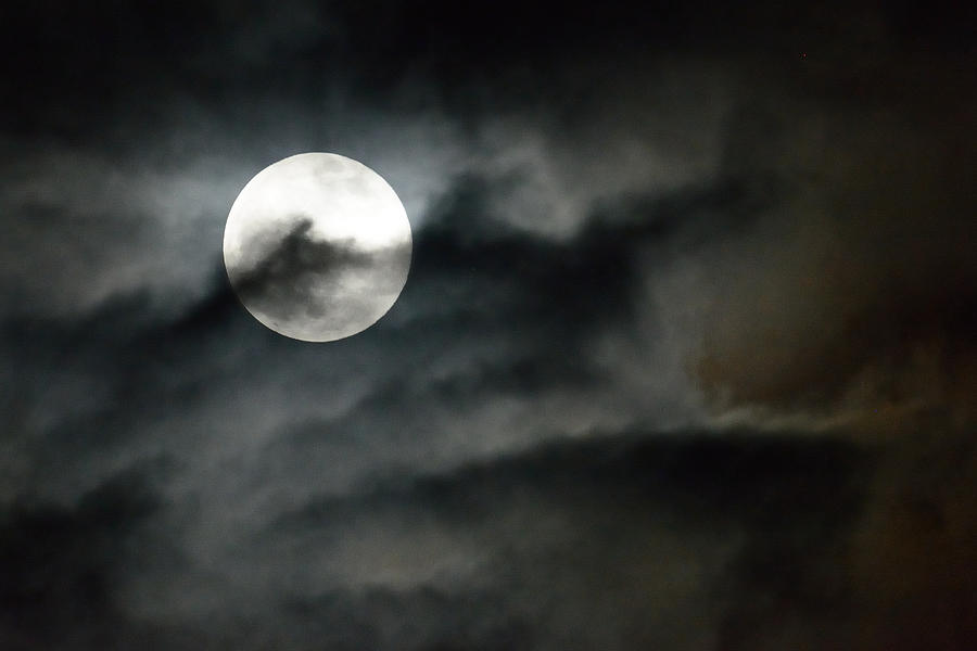 Moonlit dreams Photograph by Fotosas Photography