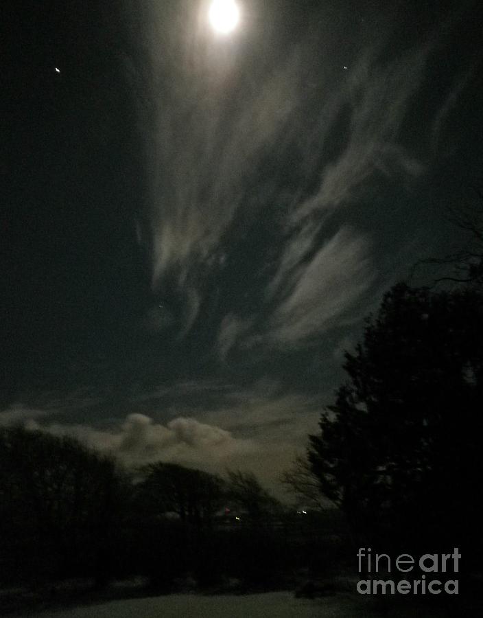 Moonlight Photograph by Richard Brookes