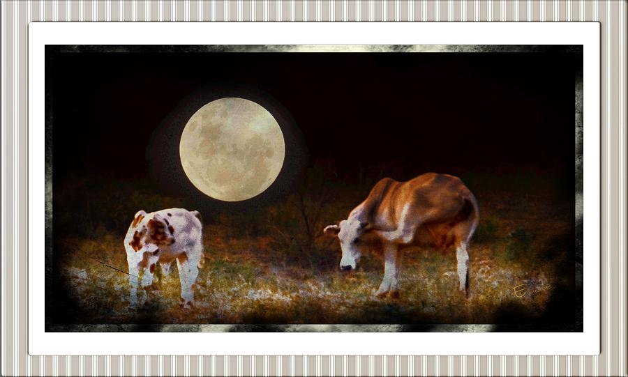 Farm Animals Photograph - Moonlit Joy by Ernestine Manowarda