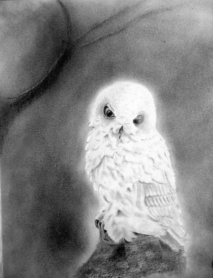 Owl Drawing - Moonlit Snowy Owl by Derrick Parsons