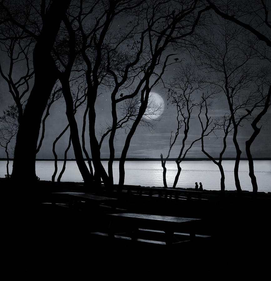 Moonlit Stroll Photograph by Robin-Lee Vieira
