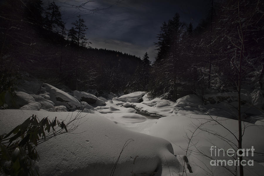 Winter Photograph - Moonlite snow Blackwater River Gorge by Dan Friend