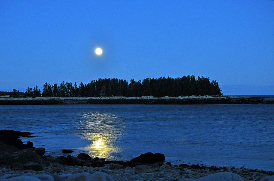 Moonrise Acadia National Park Photograph by Glenn Gordon