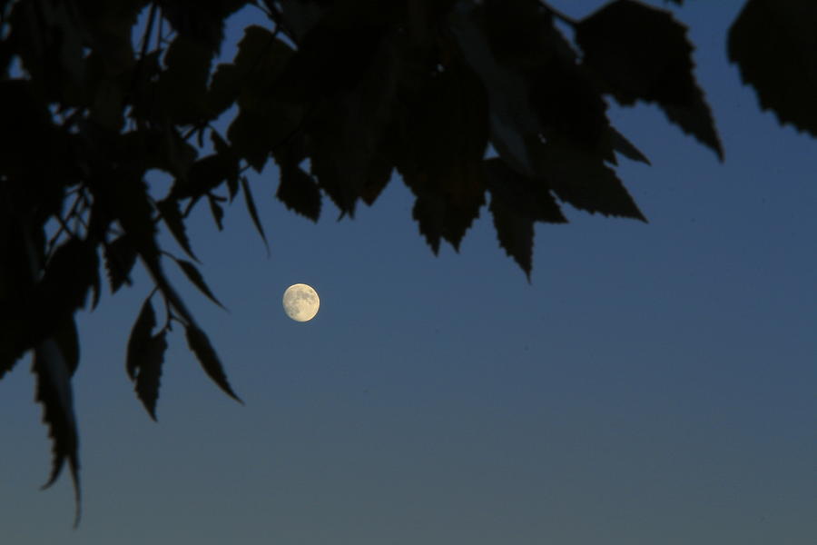 Moonrise Photograph by Andrea Kappler - Fine Art America