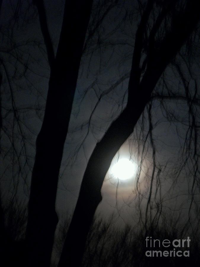 Nature Photograph - Moonrise by Ann Horn