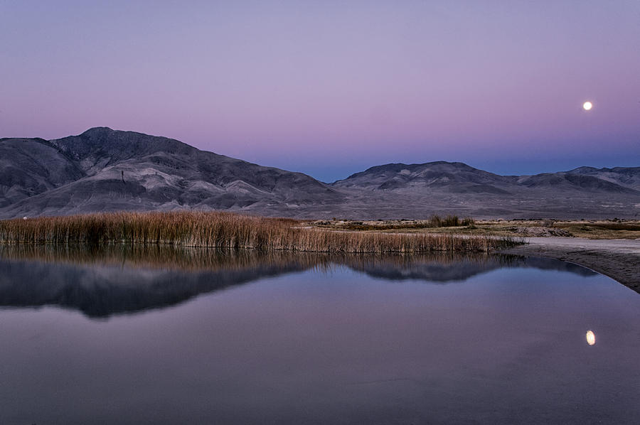 Moonrise at Klondike Lake Photograph by Cat Connor