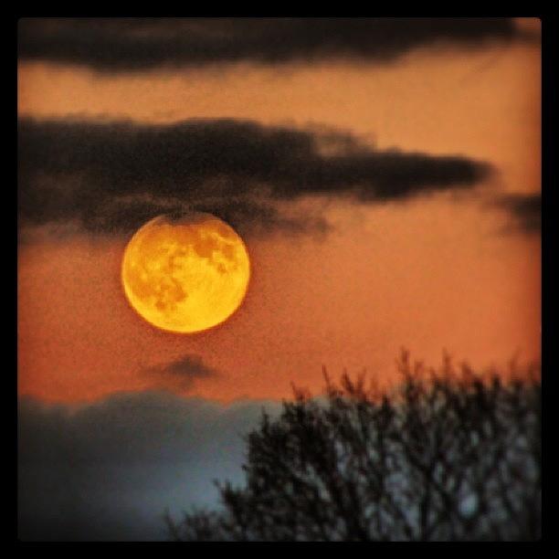 Sunset Photograph - Moonrise At Sunset (edit Of A Dslr by Ines Langs