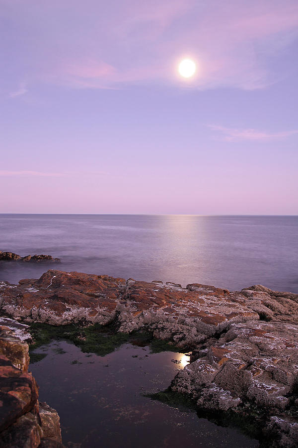 Moonrise in Acadia National Park Photograph by Juergen Roth