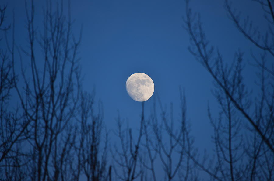 Moonrise Photograph by James Petersen