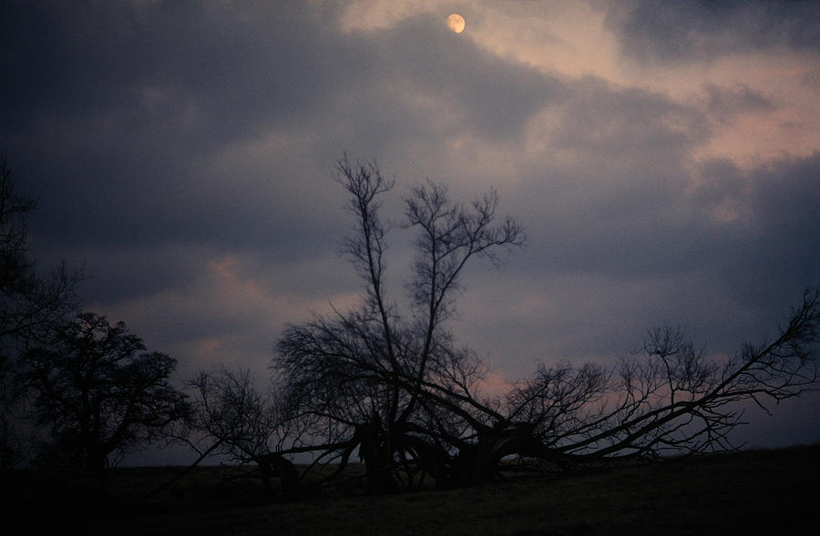 Moonrise Photograph by John Topman