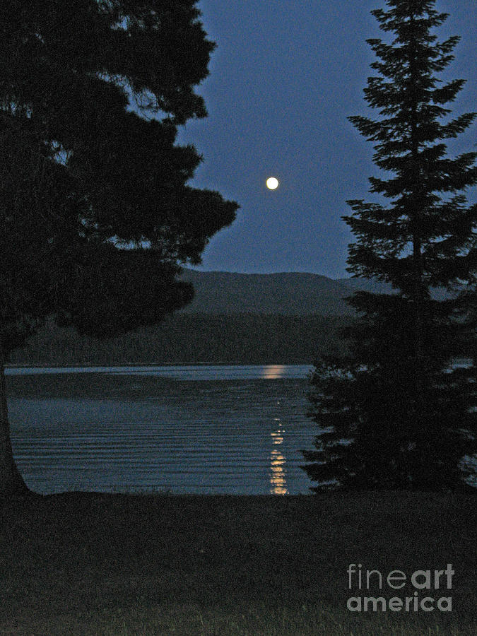 Moon Rise Priest Lake ID Photograph by NightVisions
