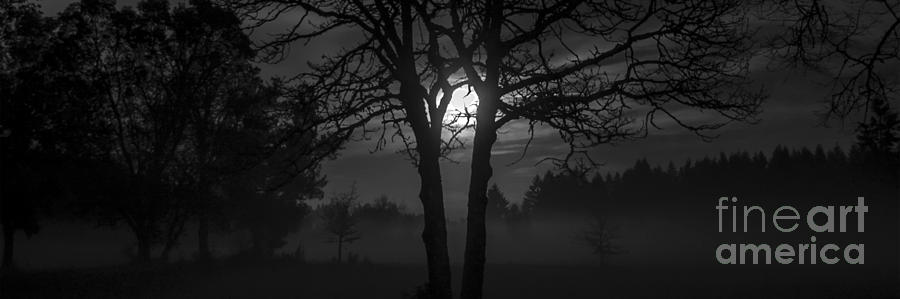 Moonrise on a Foggy Meadow II Photograph by Chuck Flewelling