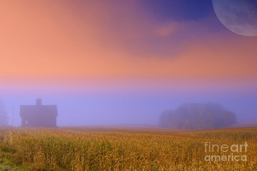 Moonrise Over Early Morning Cornfield At Sunrise. Photograph