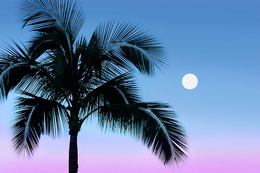 Moonrise over Maui Photograph by Jane Girardot