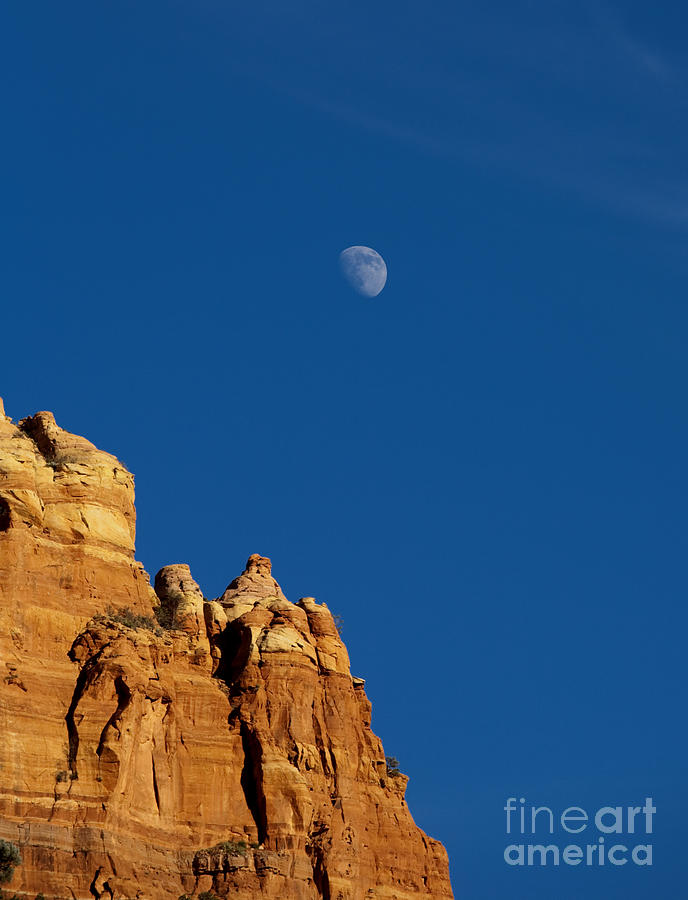 Desert Photograph - Moonrise over Sandstone by Michael Dawson